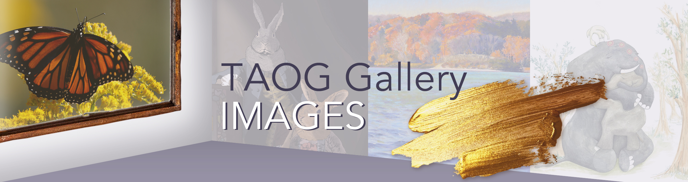 TAOG Gallery Images
